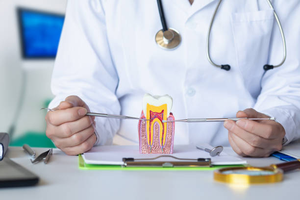Best Emergency Treatment for Dental Infections or Abscesses in Ho Ho Kus, NJ